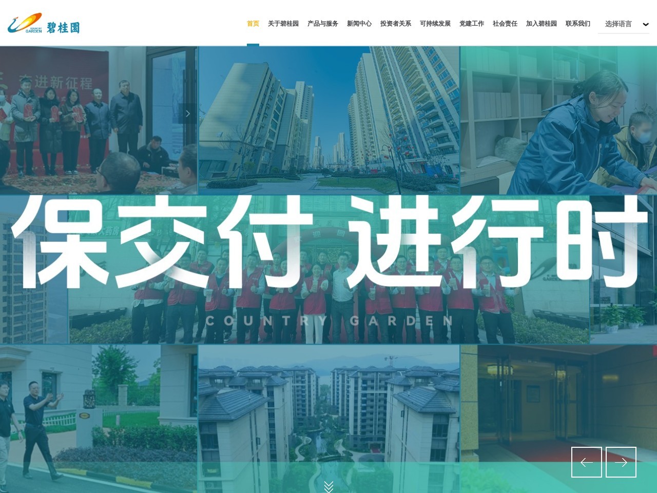 碧桂园集团