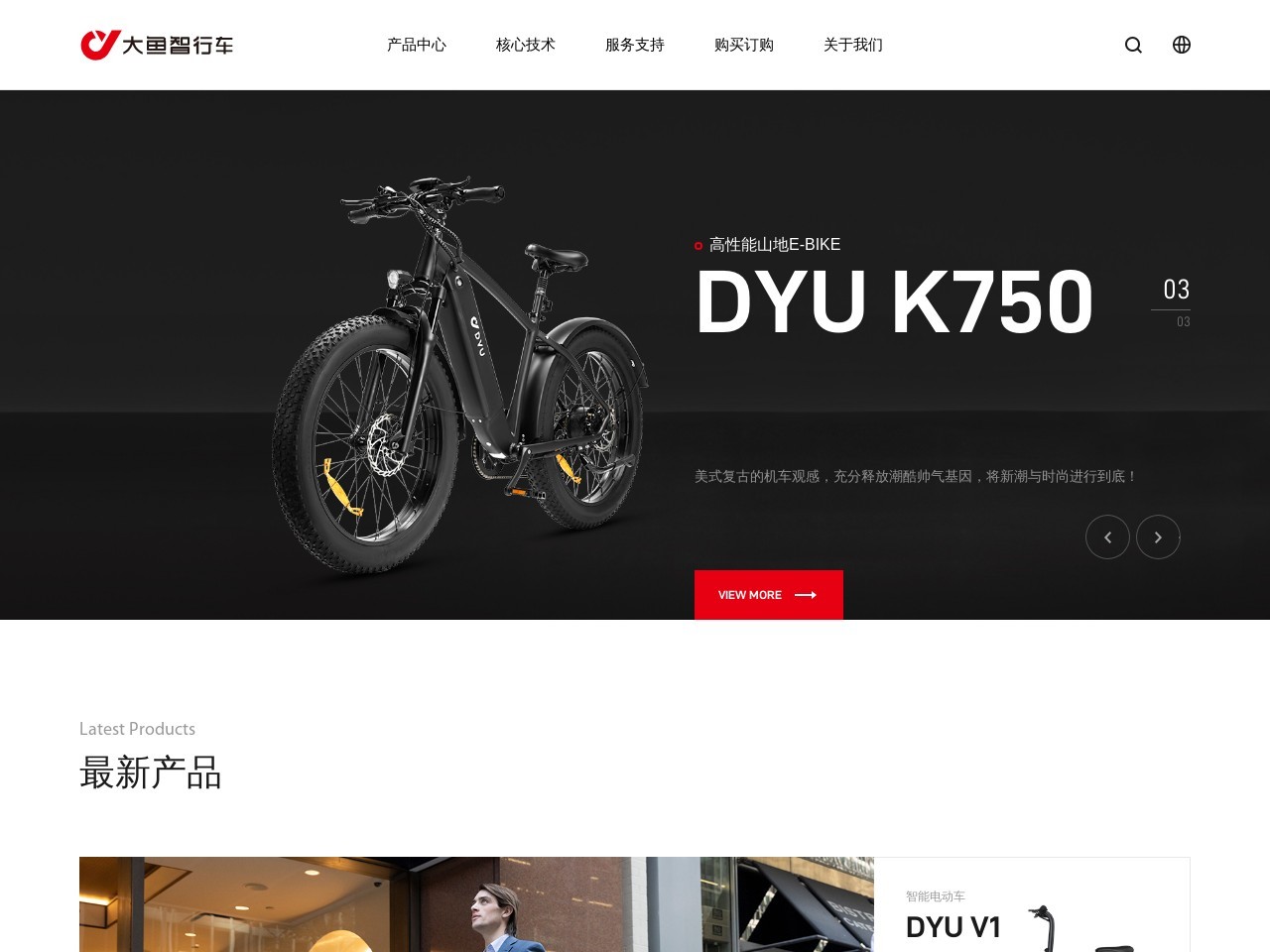 大鱼智行车官网