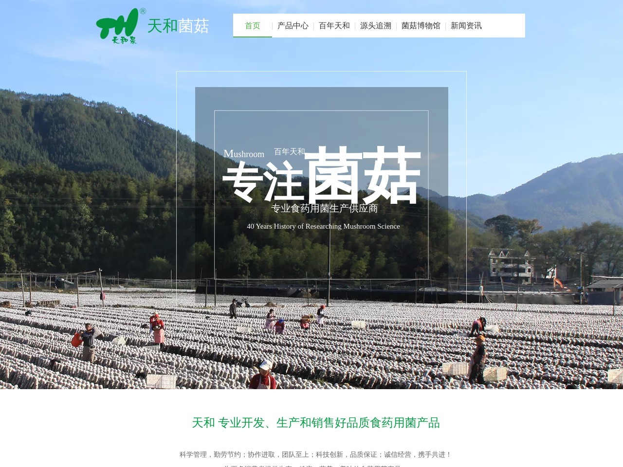 斋仙圆官网
